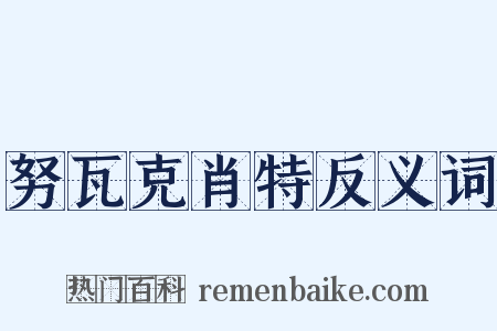 努瓦克肖特反义词是什么意思的图片